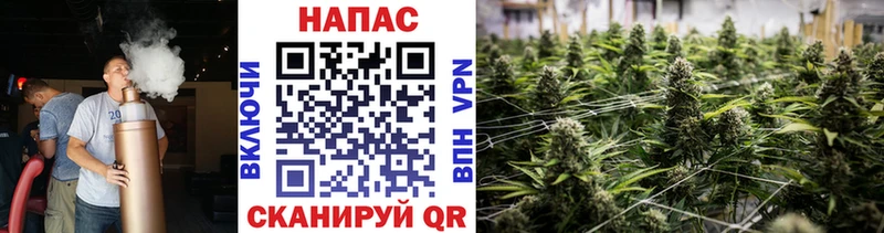 Виды наркоты Белая Холуница COCAIN  Мефедрон  Гашиш 
