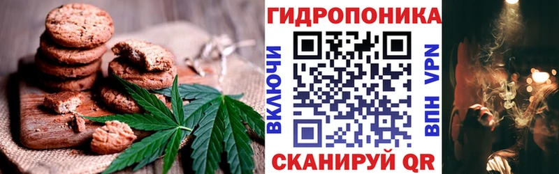Cannafood конопля  Белая Холуница 