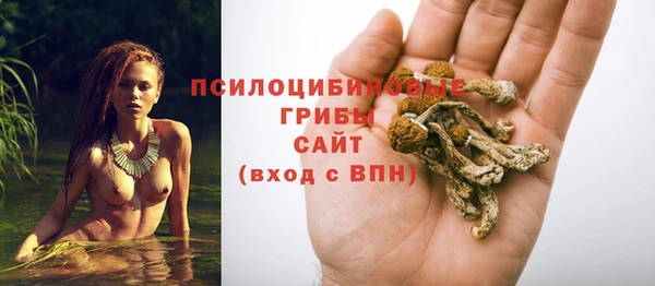 кокаин перу Богородицк
