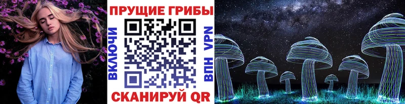 магазин продажи наркотиков  Белая Холуница  Псилоцибиновые грибы мухоморы 